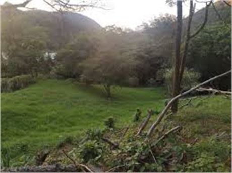 Vive entre nubes y naturaleza: lote de montaña disponible